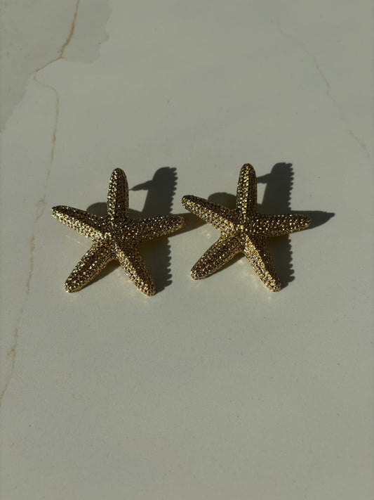 Starfish Earrings